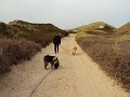 sylt (35)